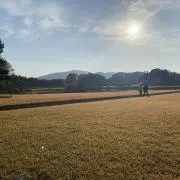 しば丸の画像