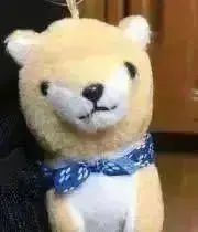 のこみの画像