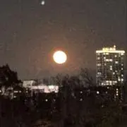 勝志の画像