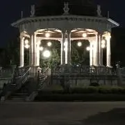 クローバーの画像