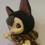 cozycozy