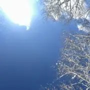 ペネロペ