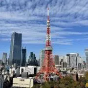 ミントブールーの画像