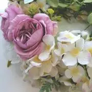 mosuの画像