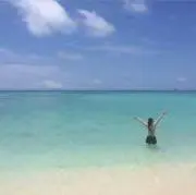 茶の画像