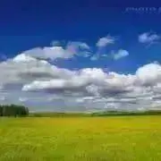 あおの画像