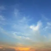 なめこの画像