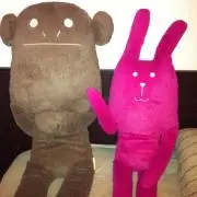 コジナオの画像