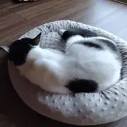 けいこさんの画像