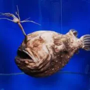 み やの画像