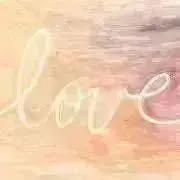 きのこの画像