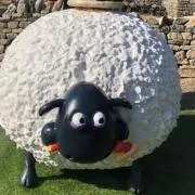 ＮＡの画像