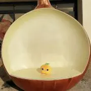 まえすの画像