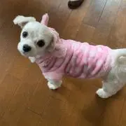 yukarino姫