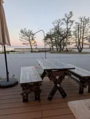sakuraの画像