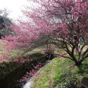 ＊あ＊