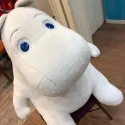 あやぽんの画像