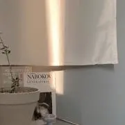mioの画像