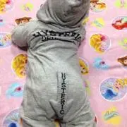 りぃーたん。