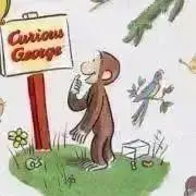 プロフ必読！！なんちの画像