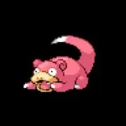 ⭐️やどん⭐️の画像