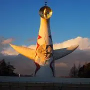 こたんの画像