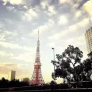 あの画像
