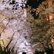 yu