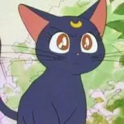 Rの画像