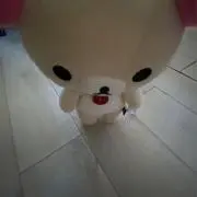 ゆ