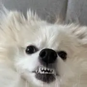 kana☆の画像