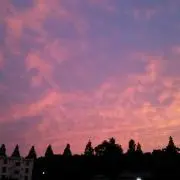 mana ※プロフ必読