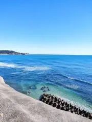 ritsuの画像