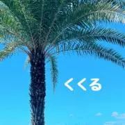 くくるの画像