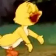 ぴの画像