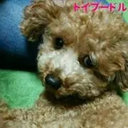 Hitomin
