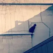 さじかげん