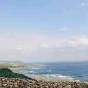 こんの画像