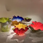 mine☆の画像