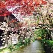 ⭐︎希少品⭐︎VANA TALLINN ヴァナタリン エストニア リキュール 花見