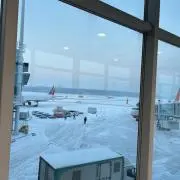 にしの画像