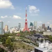 Y.Sの画像