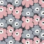 hana＊の画像