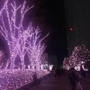 さつき