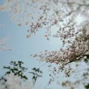 ♡yuppy♡