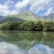 サヤエンドウの画像