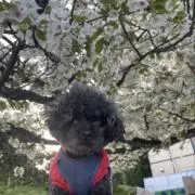 もこの画像