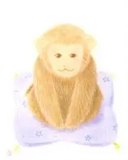 T K