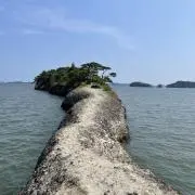 えぬさんの画像