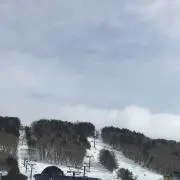 YOTSU